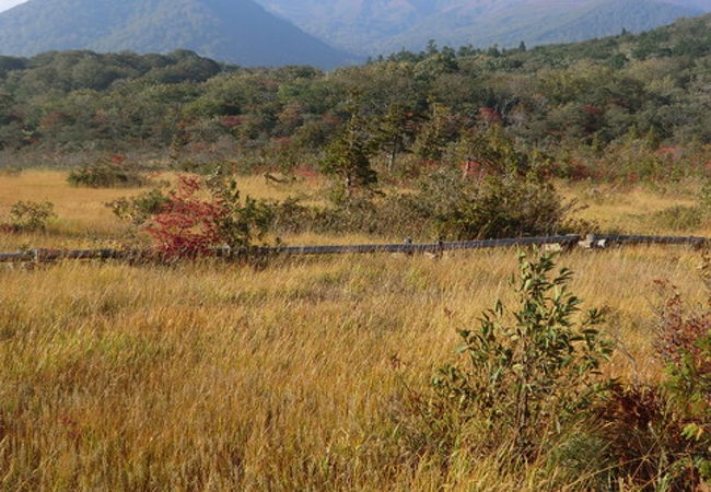 栗駒山を望む、静寂な湿原♪