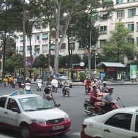 ロビーラウンジから蟻の大群を激写