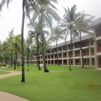 芝生も広いです