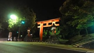 幻想的で美しい夜の奈良公園