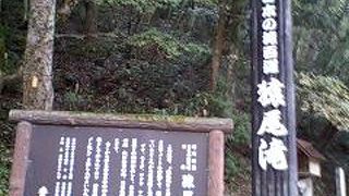 雨の後が迫力満点！