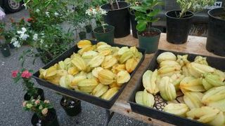 ポークの串刺しは美味しい