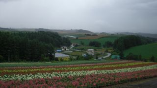 お花畑と北海道の野菜が楽しめます