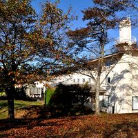 本館を庭から眺める