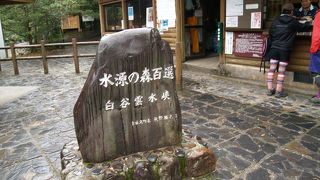 トレッキングに最適な森