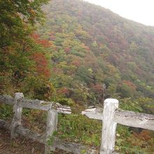 違法駐車の山愛好家？山悪行家！反省してくれ