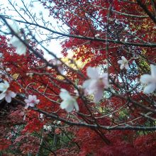 この周りは人だかりでした