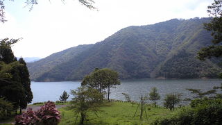 自然一杯のドライブ～