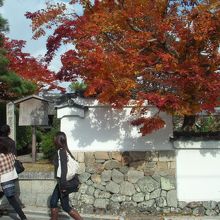 白い壁にもみじもきれいですね