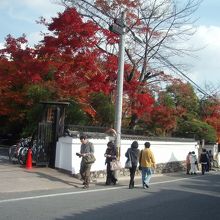 まぁ人がぞろぞろ歩いてますバスも混んでた