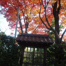 光の加減って難しい