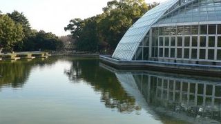 京都植物園・・・・・・初めて行きました、時間も無いので公園だけでしたが見応え十分