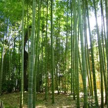 こっちまでカメラを向けるとさすがに人は入りませんね。