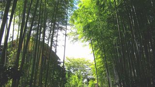 いつ来てみてもいいなぁ～って思います。