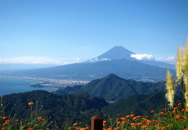 初秋の駿河湾と富士山♪黄花コスモスとススキもまた良いですね！