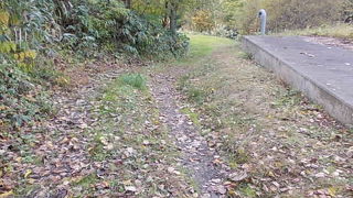 広いエリアにマニアックな見所が点在しています