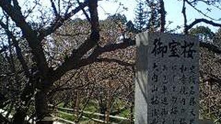 山門や五重の塔が有名！