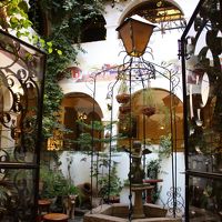 中庭は小さくて見落としがちですが、こだわりを感じます。