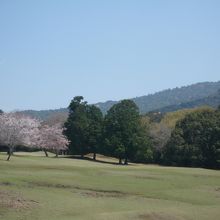 飛火野