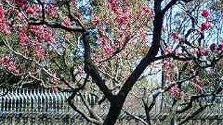 都会のオアシス！