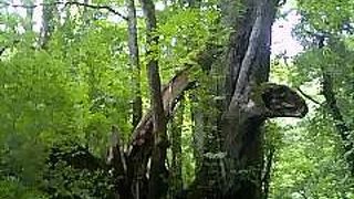 一日のんびり出来ます。