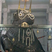 16世紀創建の南インド特有のドラヴィダ様式の寺院、巨大な牡牛の石像は見る価値あり