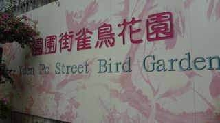 虫が嫌いな方は行かない方がいいです！