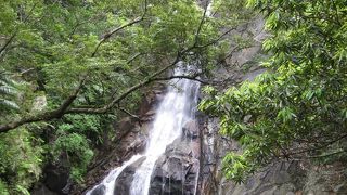 国頭の大瀑布！