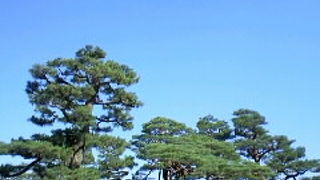 趣味のいい庭園