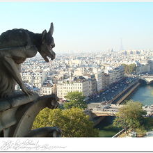 鐘楼に上るまでに、相当な階段に息がはずむ