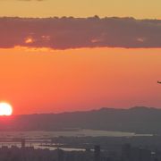 生駒山から見える夜景　ドライブ編