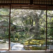 京都に別荘を持ってみませんか・・・・・・・≪無燐庵≫・・・・・・・とても気持ちのの良いお庭です。