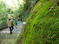 早川（堂ヶ島）渓谷遊歩道