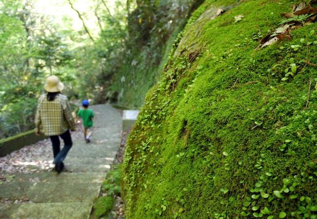 早川（堂ヶ島）渓谷遊歩道