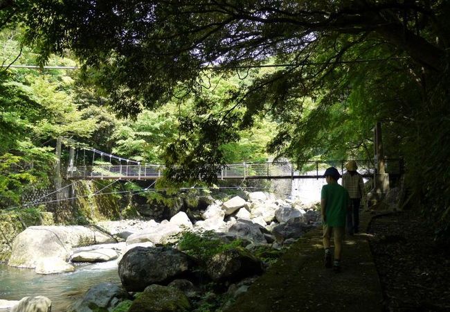 早川 堂ヶ島 渓谷遊歩道 クチコミ アクセス 営業時間 宮ノ下温泉 フォートラベル