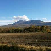 パノラマライン南ルートからの浅間山