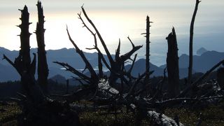 紅葉におすすめのコース！