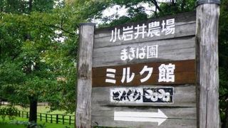 のどかな風景に癒されます！