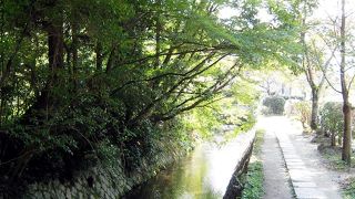お寺もカフェも満載の楽しい散歩道♪