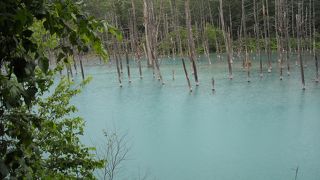 雨の日でも青かった！