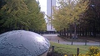 公園内に古墳があります！