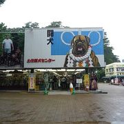 時間があったら闘犬見学も