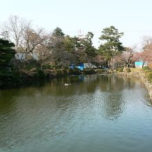 歴史文学、映画の舞台となった鶴岡城跡(鶴岡公園)