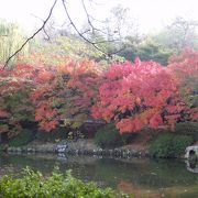 世界遺産　仏国寺