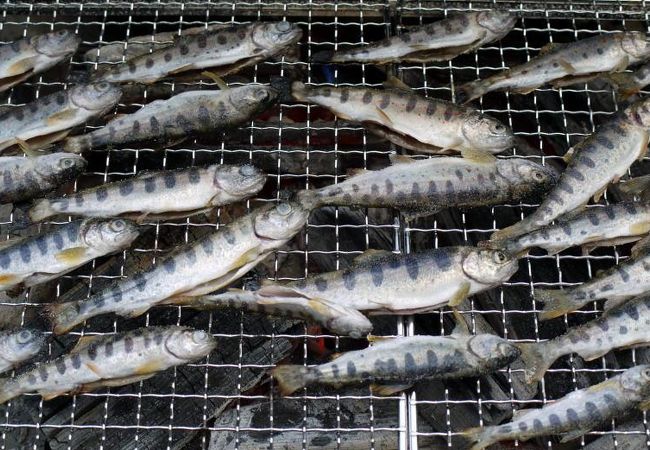 河津七滝オートキャンプ場 クチコミ アクセス 営業時間 河津温泉郷 今井浜 フォートラベル