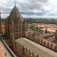 途中で歩いた屋根が下に見えます