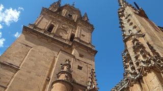ガイドブックに情報ないけれど、カテドラルの屋根の上に登れます！