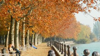 タゴールの並木道にほれぼれ、秋のバラトンフレドで紅葉狩りはいかが？