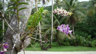 中心から離れたキレイな海