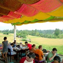 見渡す限りライスフィールド！